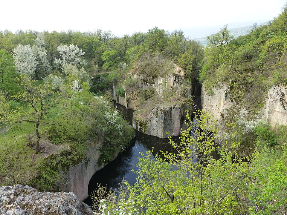 Tengerszem_(7)